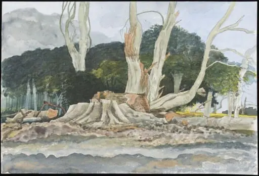 After the Gale 1