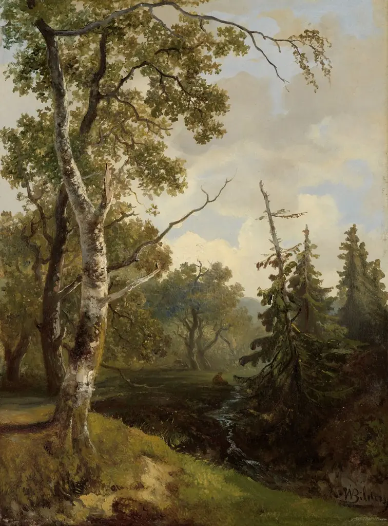 View of the Forest near Wolfheze