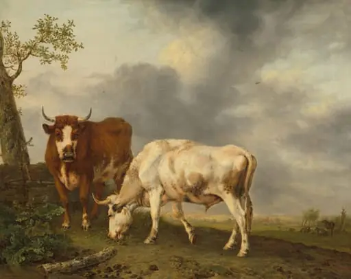 Oxen in the Meadow