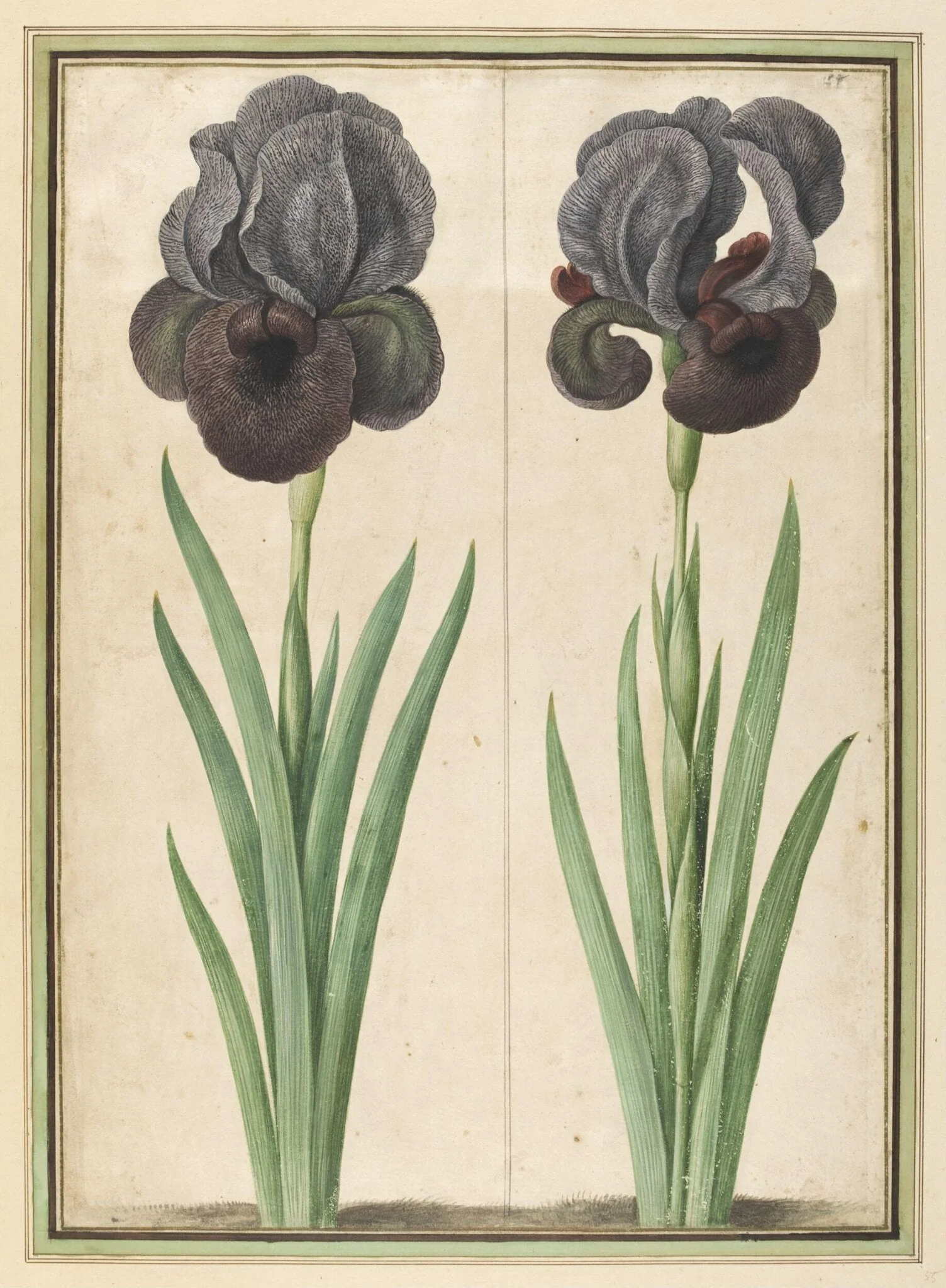 Similacrum Scenographicum Celeberrimi Horti Itzeinensis, by Johann Jakob Walther, watercolor, 1654