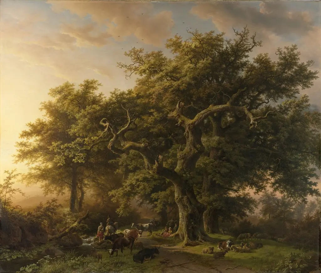 Forest Scene