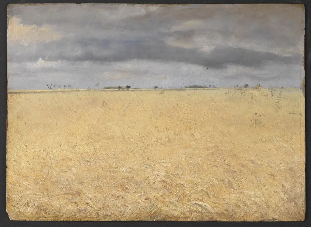 A Rye Field near Ring Village