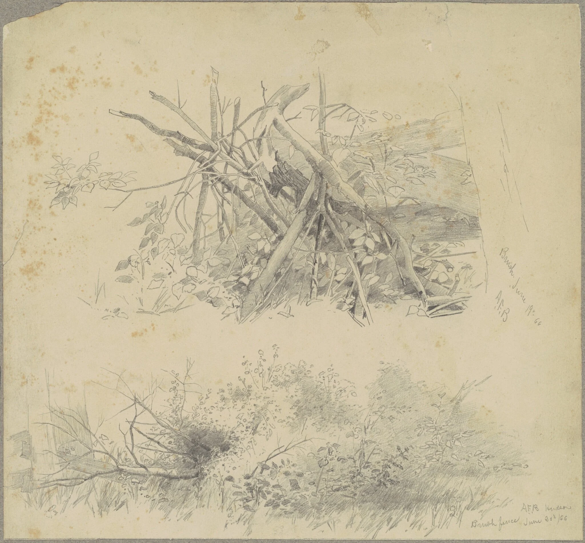 Brush; and Hudson Brush Fence, by Andrew Fisher Bunner, graphite, 1866