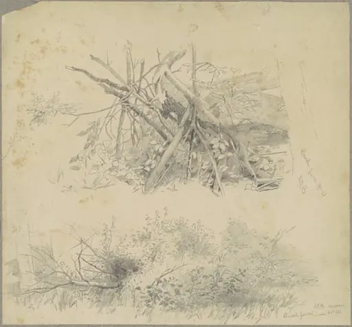Brush; and Hudson Brush Fence