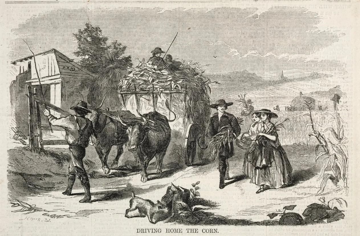 Driving Home the Corn, by Winslow Homer, 1858