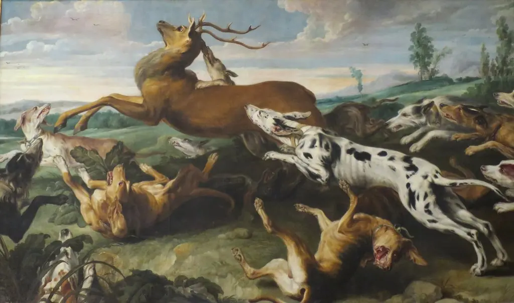 Deer Hunt