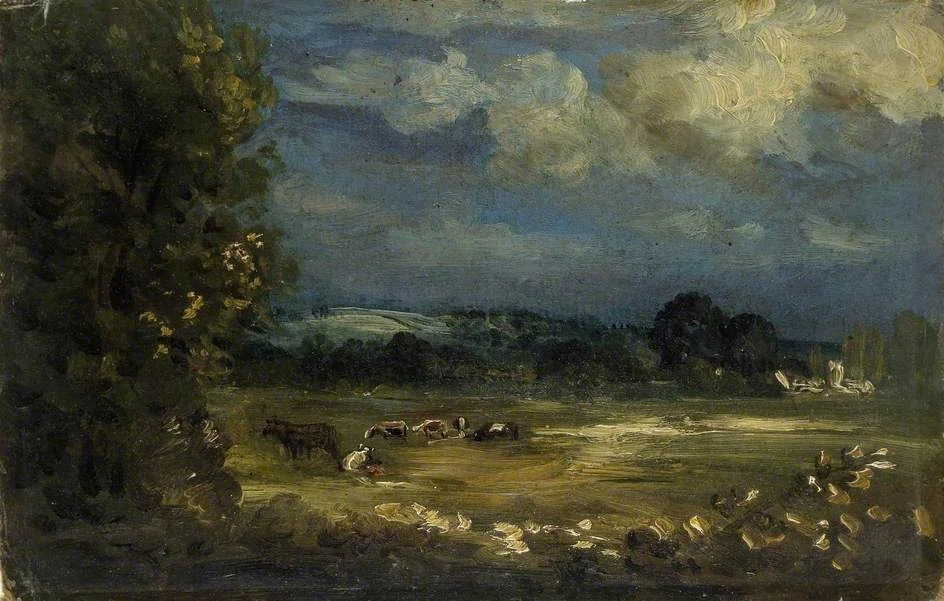 Britford Vale: Water Meadows