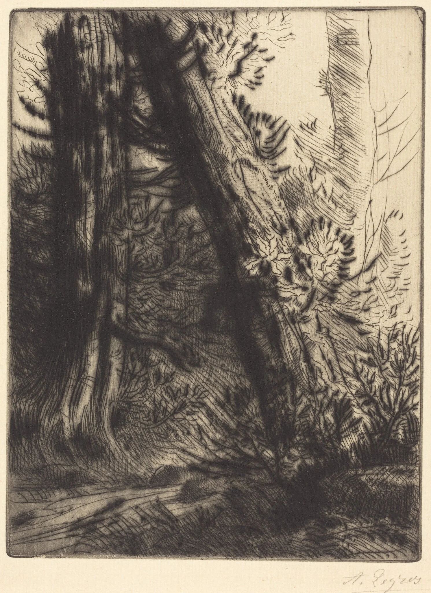 Edge of a Brook (Bord de ruisseau)