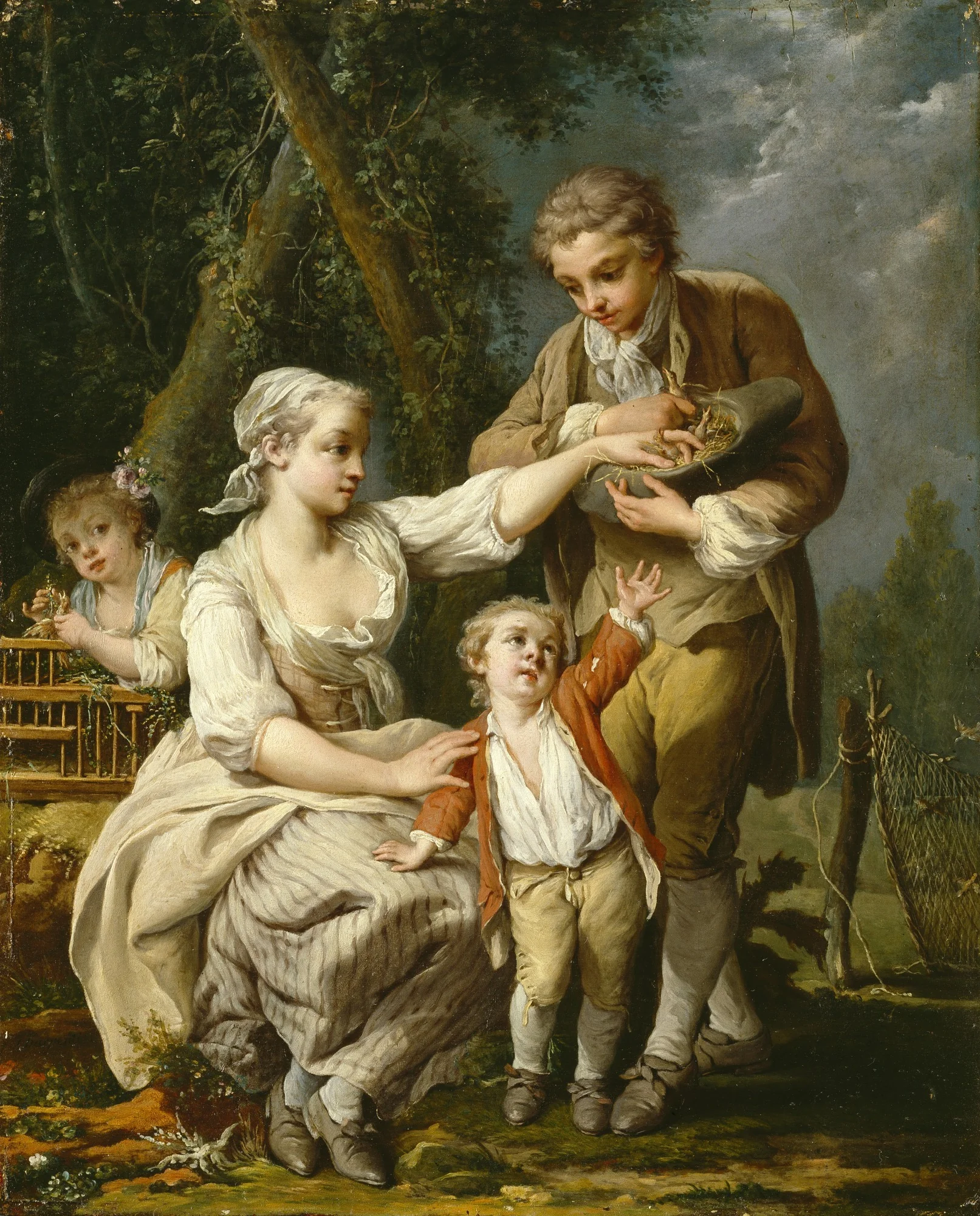 Bird's Nest