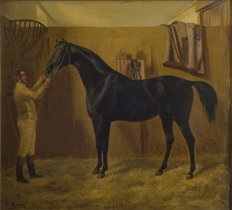 Black Comet