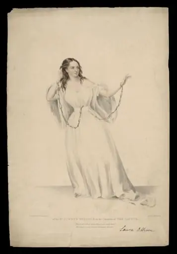 H Beard Print Collection