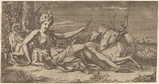 Diana Resting