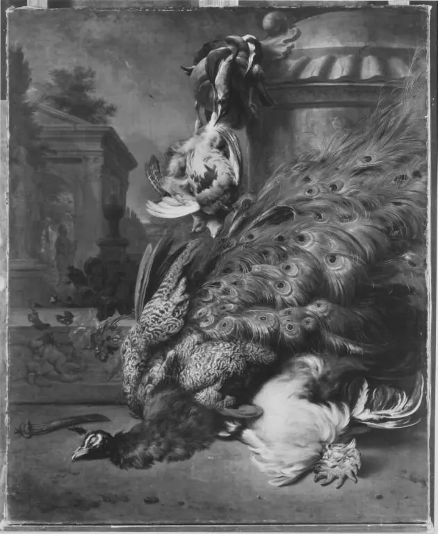 Q30098477