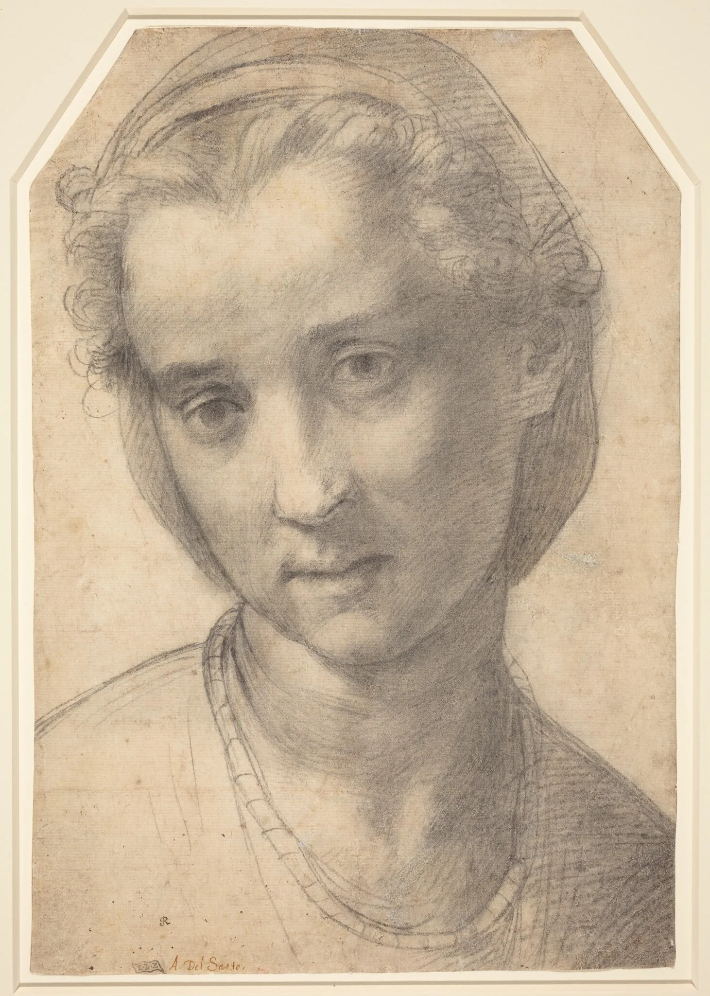 Head of a Woman, by Andrea del Sarto, chalk, 1515