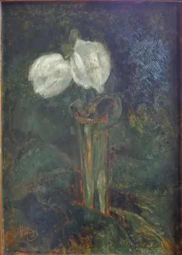 Flori