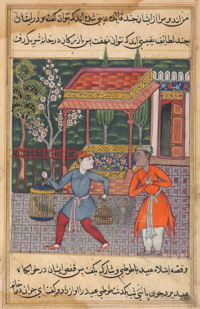 The merchant of Tirmiz takes the wise parrot and myna to ‘Ubaid, from a Tuti-nama (Tales of a Parrot): Forty-second Night