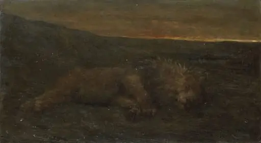 Sleeping Lion by Night