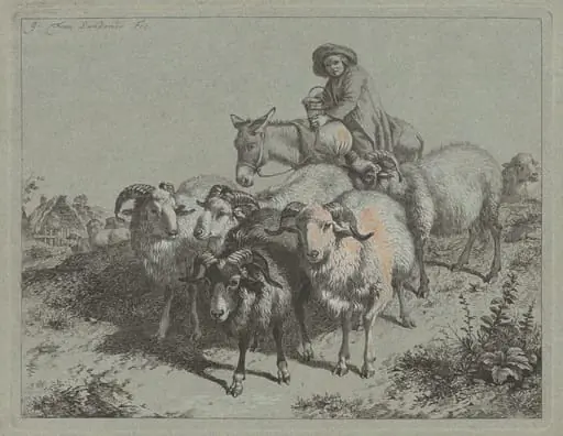 Boy on a Donkey Driving a Flock