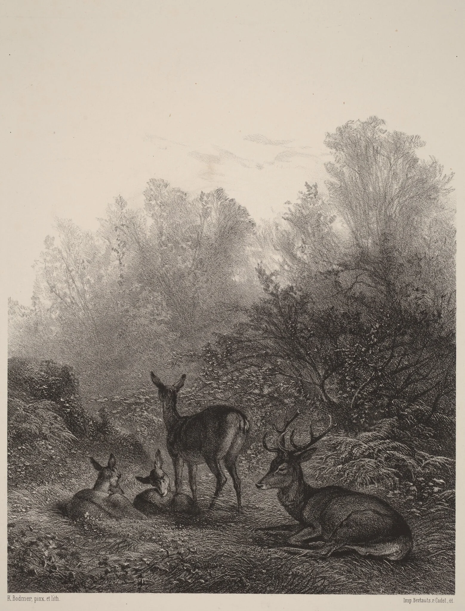 Biches au repos, by Karl Bodmer, ink, 1851