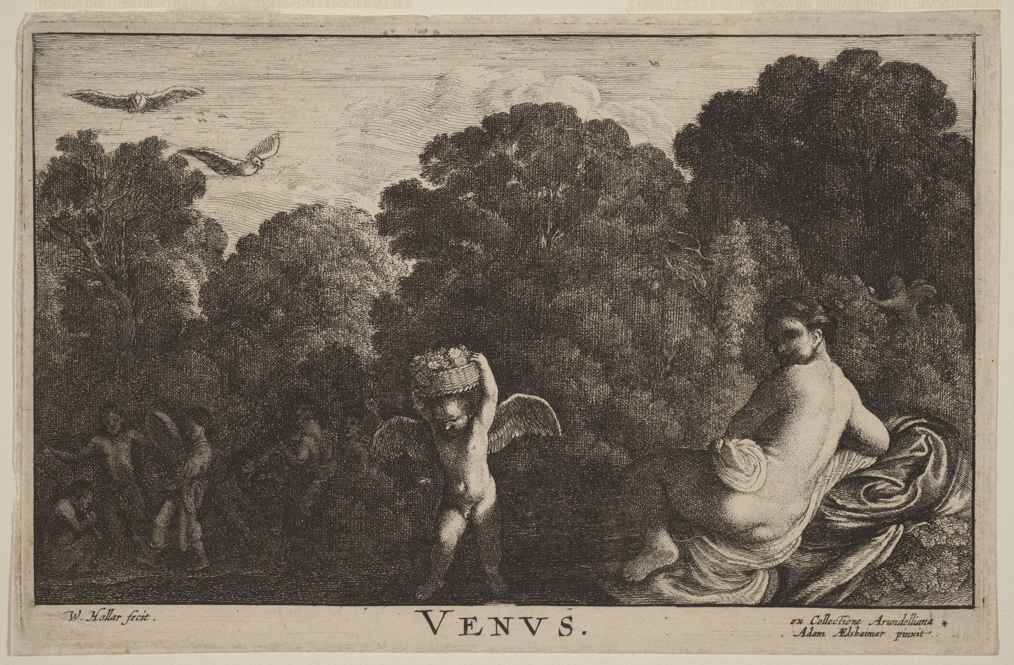 Venus, by Wenceslaus Hollar, ink, 1642
