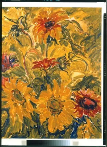 Sunflowers