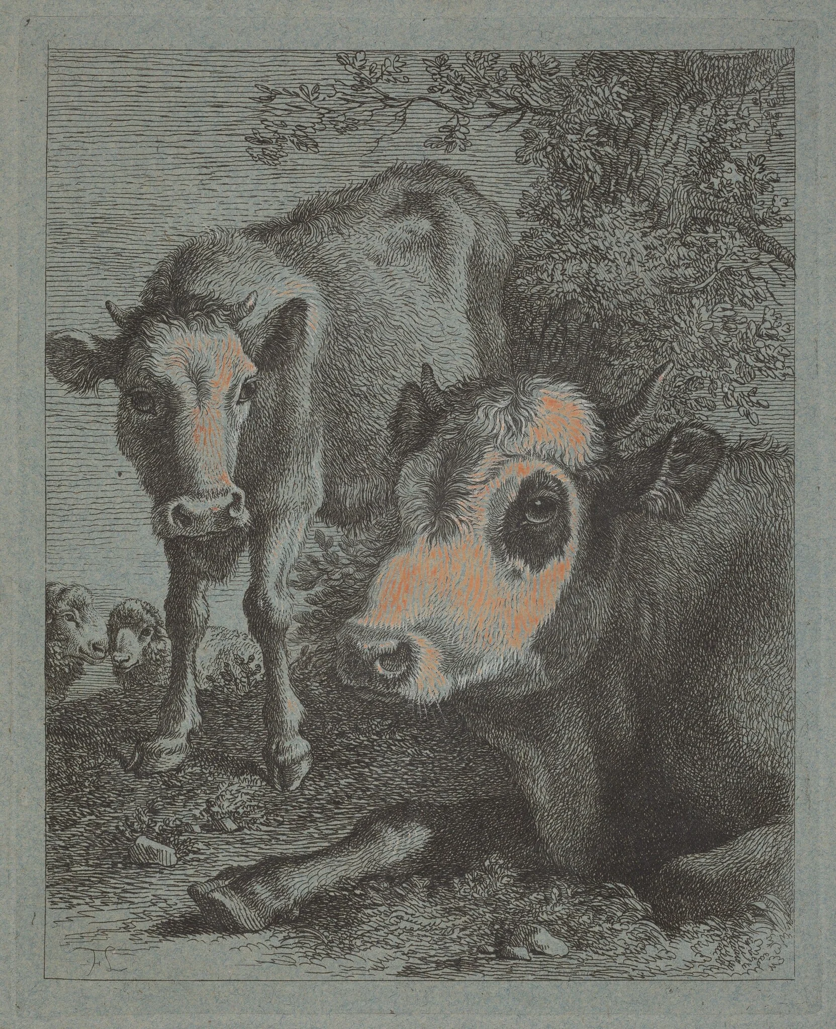 Reclining Cow and Calf in the Open, by Francesco Londonio, gouache, 1758