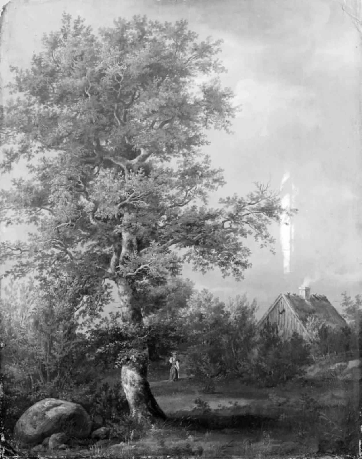 Study of a Beech at Engelholm in Zealand, by Unknown, 1814