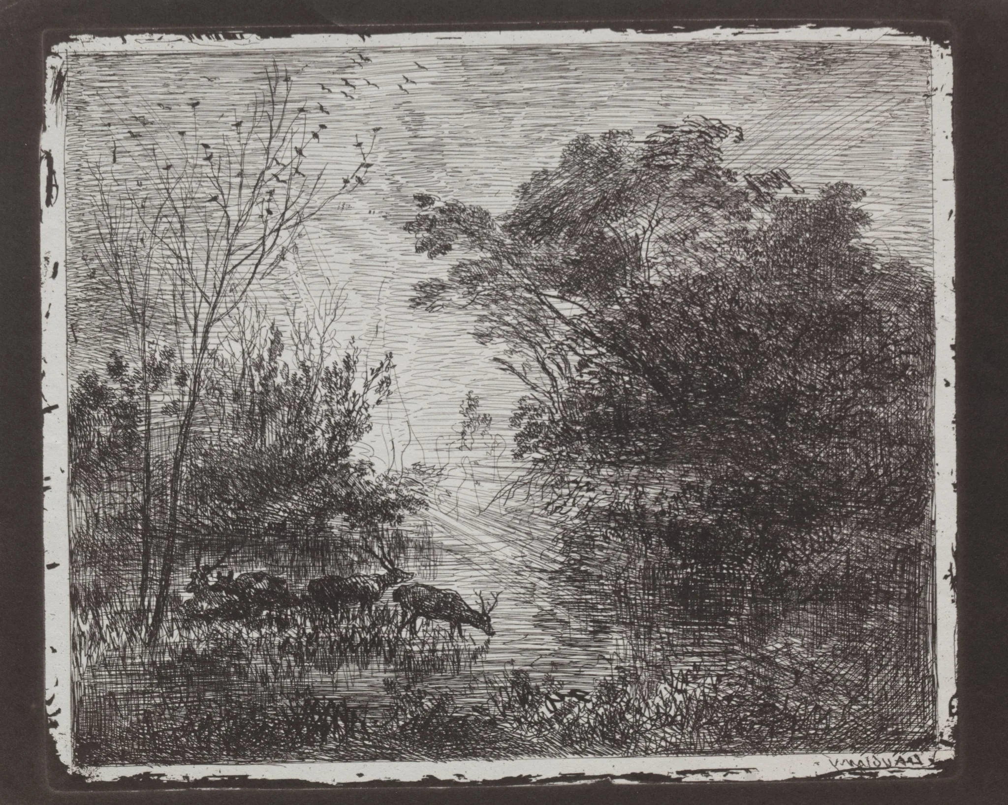 Deer, by Charles François Daubigny, 1862