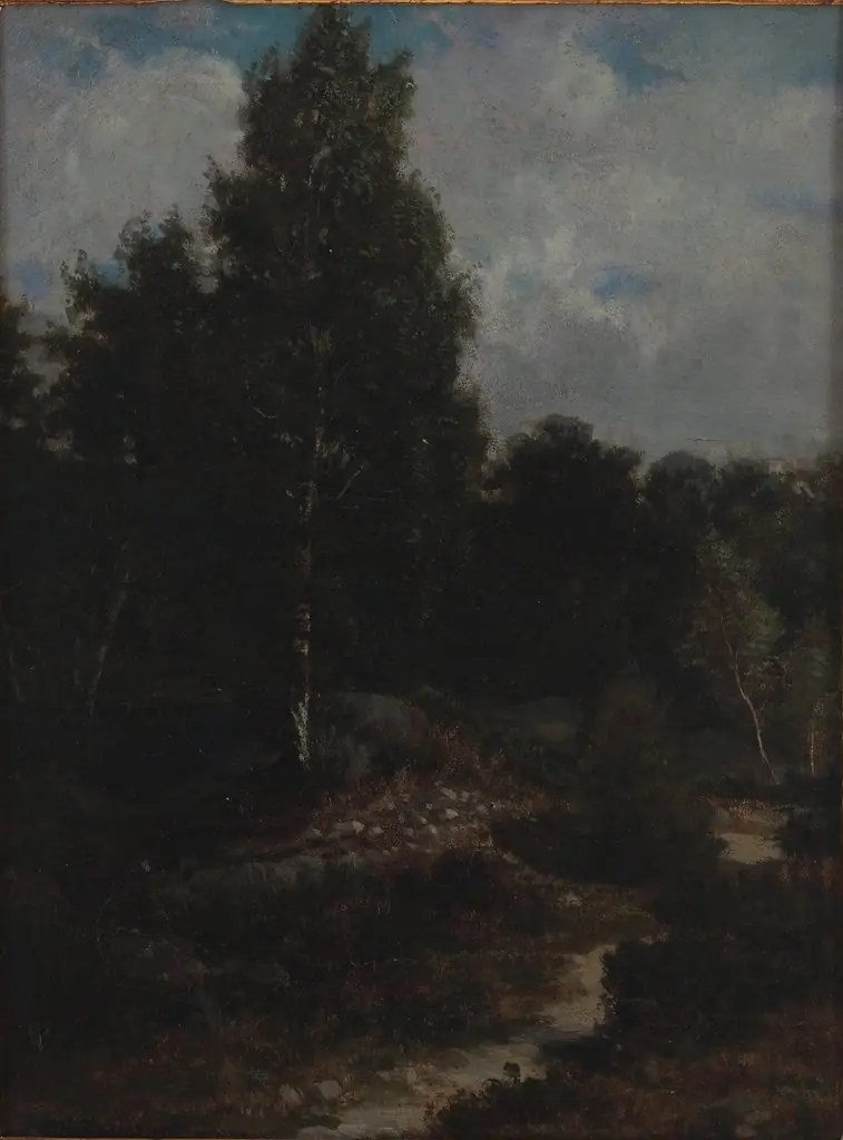 Fontainebleau Woods
