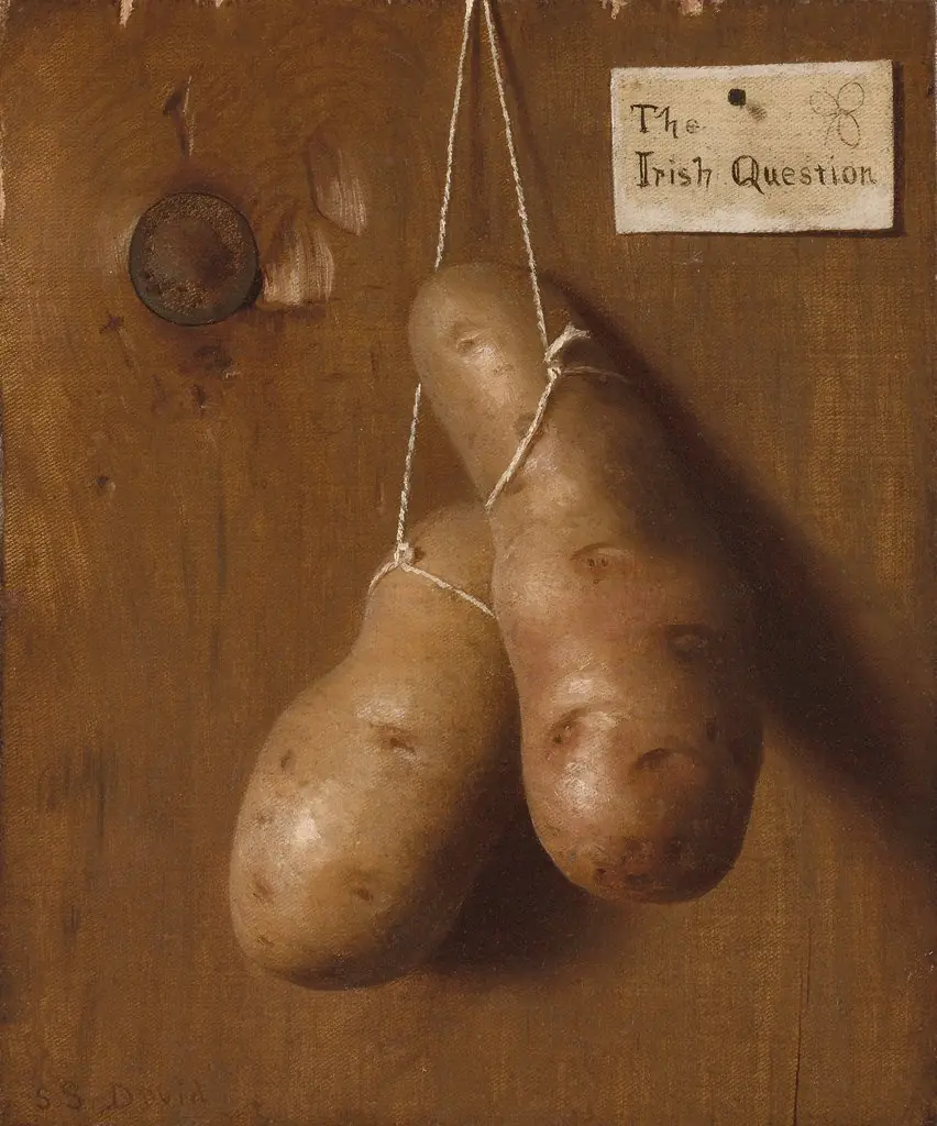 The Irish Question