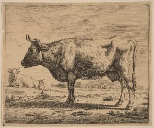 Two Cows and a Sheep
