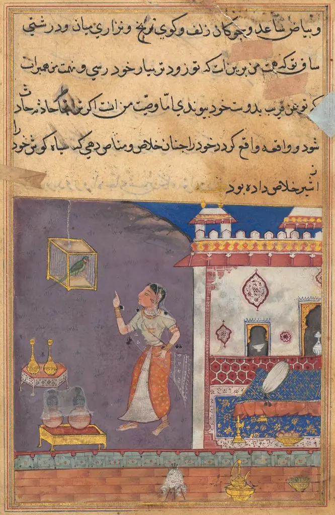 The Parrot Addresses Khujasta at the Beginning of the Twenty-ninth Night, from a Tuti-nama (Tales of a Parrot)