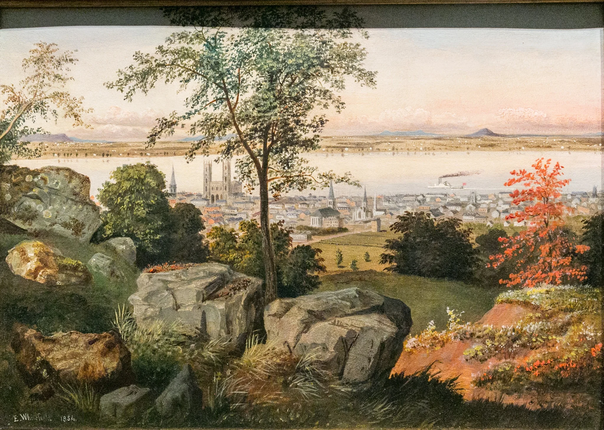 Montreal from the Mount Royal
