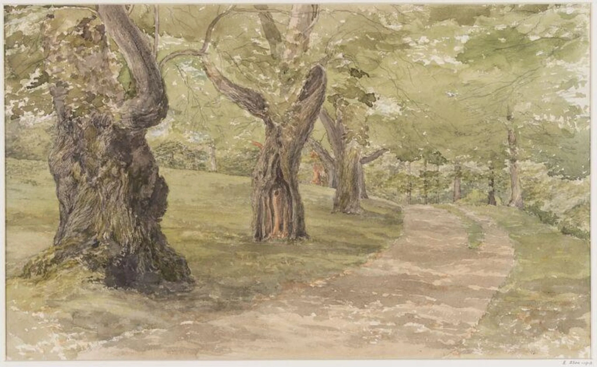 Study of Trees