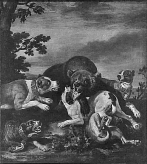 The Bear Hunt