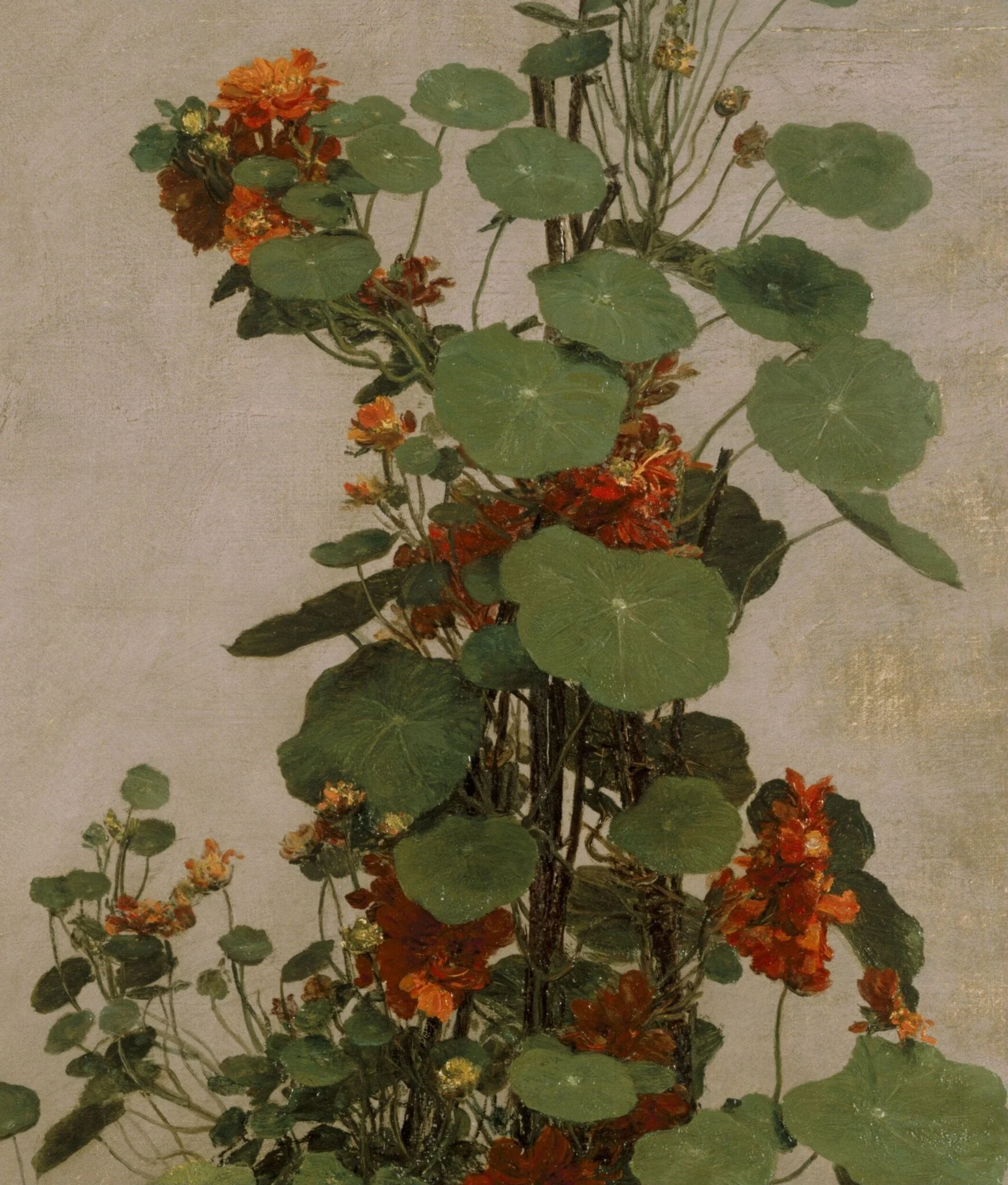 Nasturtiums, by Henri Fantin-Latour, oil, 1880