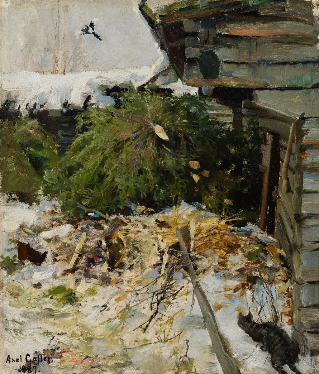 Kuusia karjapihassa, by Akseli Gallen-Kallela, unspecified