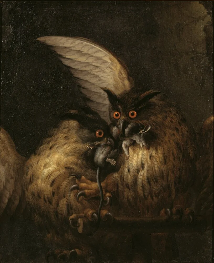 Two owls fighting over a rat, by Hans Georg Müller, oil, 1691
