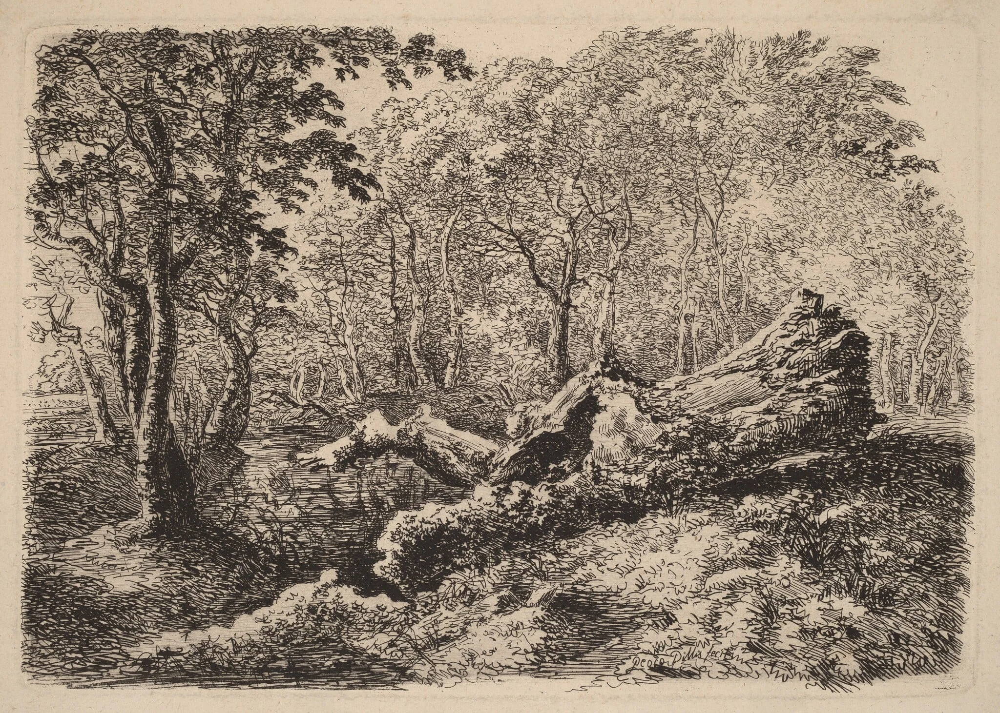 Mouldering Tree Trunk, by Johann Georg von Dillis, ink, 1794