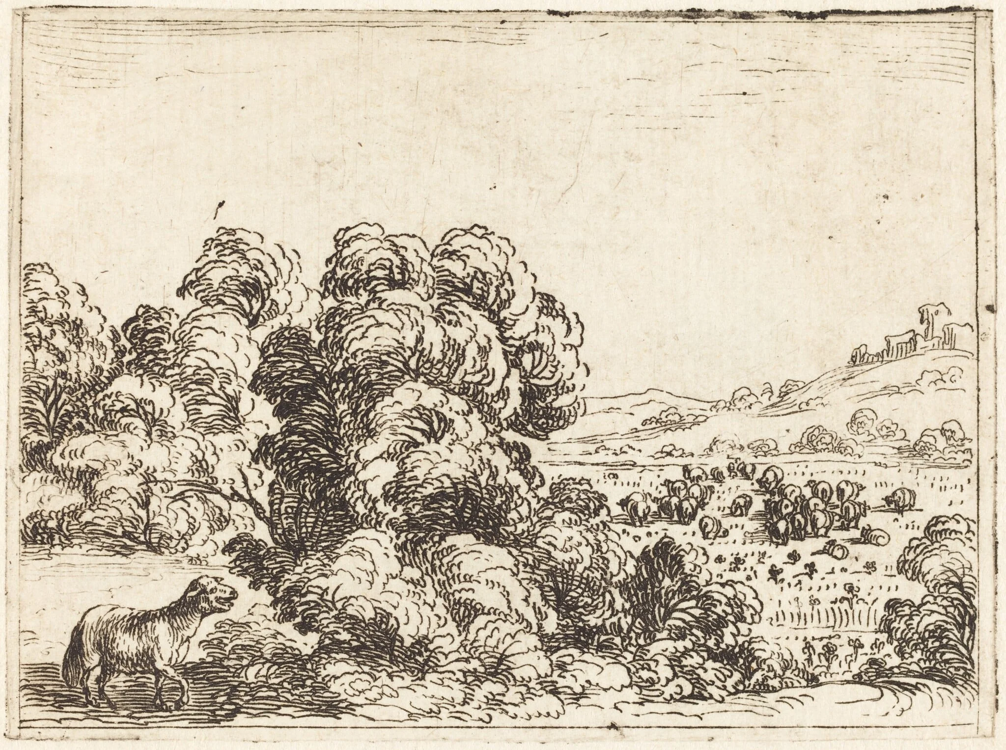 Sheep Calling Lamb, by Jacques Callot, ink, 1628