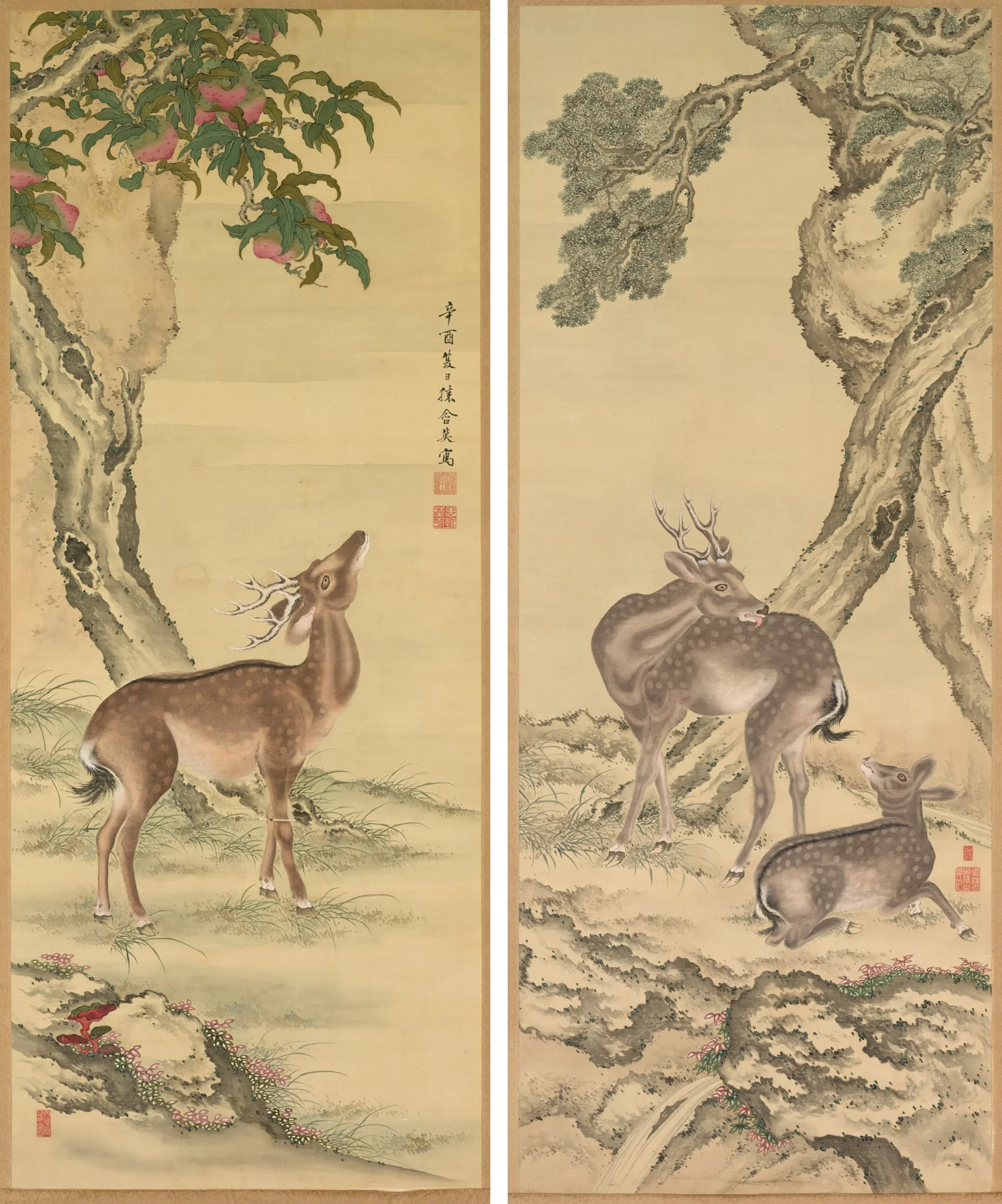 Symbols of Longevity: Deer under Peach and Pine, by Toda Tadanaka, unspecified, 1801