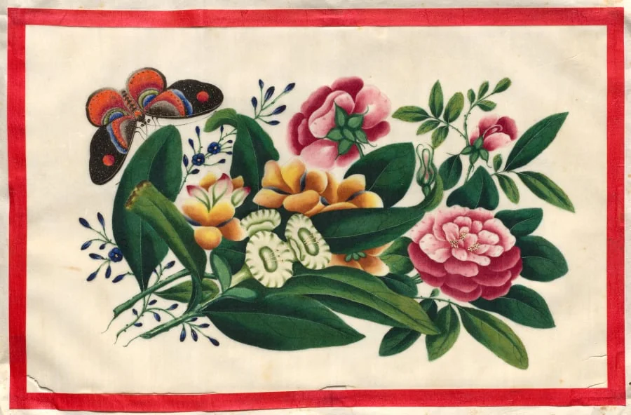 Painting Eight from Illustrated Book of Flowers and Butterflies