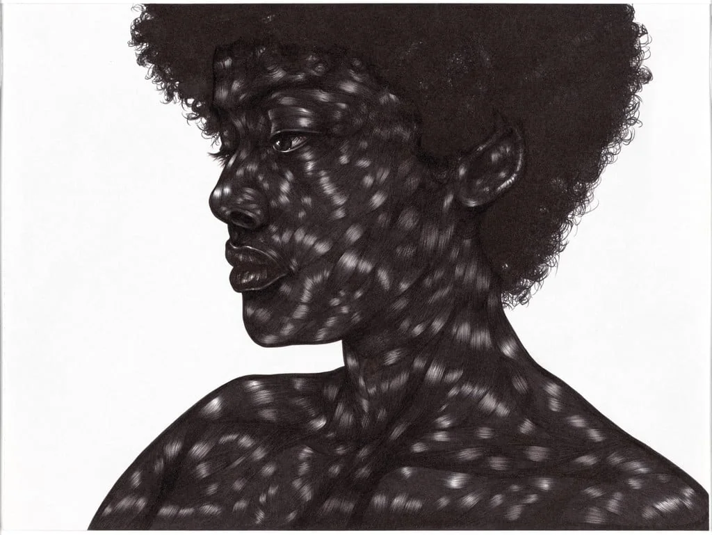 Untitled, by Toyin Ojih Odutola, paint, 2012