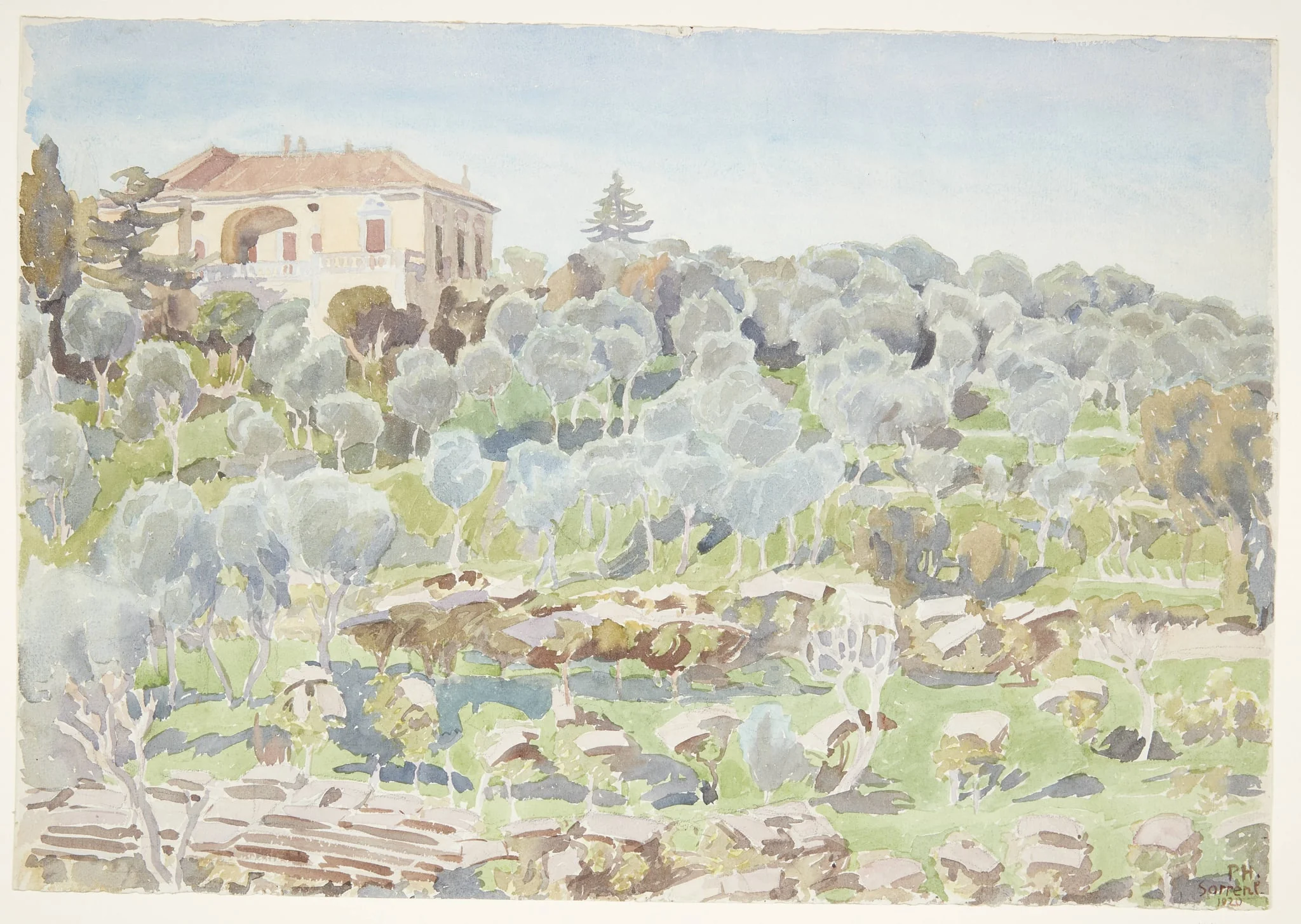 Bjergskråning med oliventræer og en villa, by Unknown, unspecified, 1920