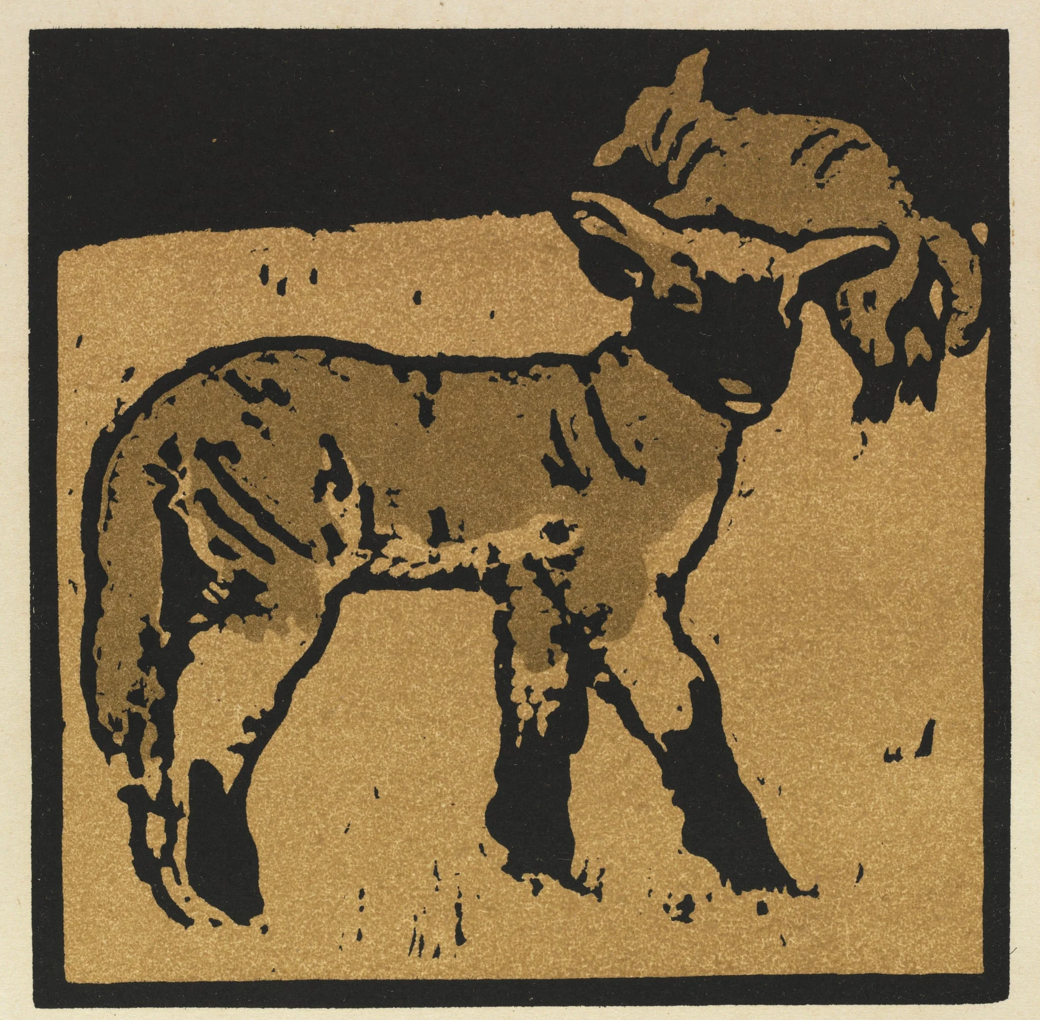 The Square Book of Animals: The Very Tame Lamb