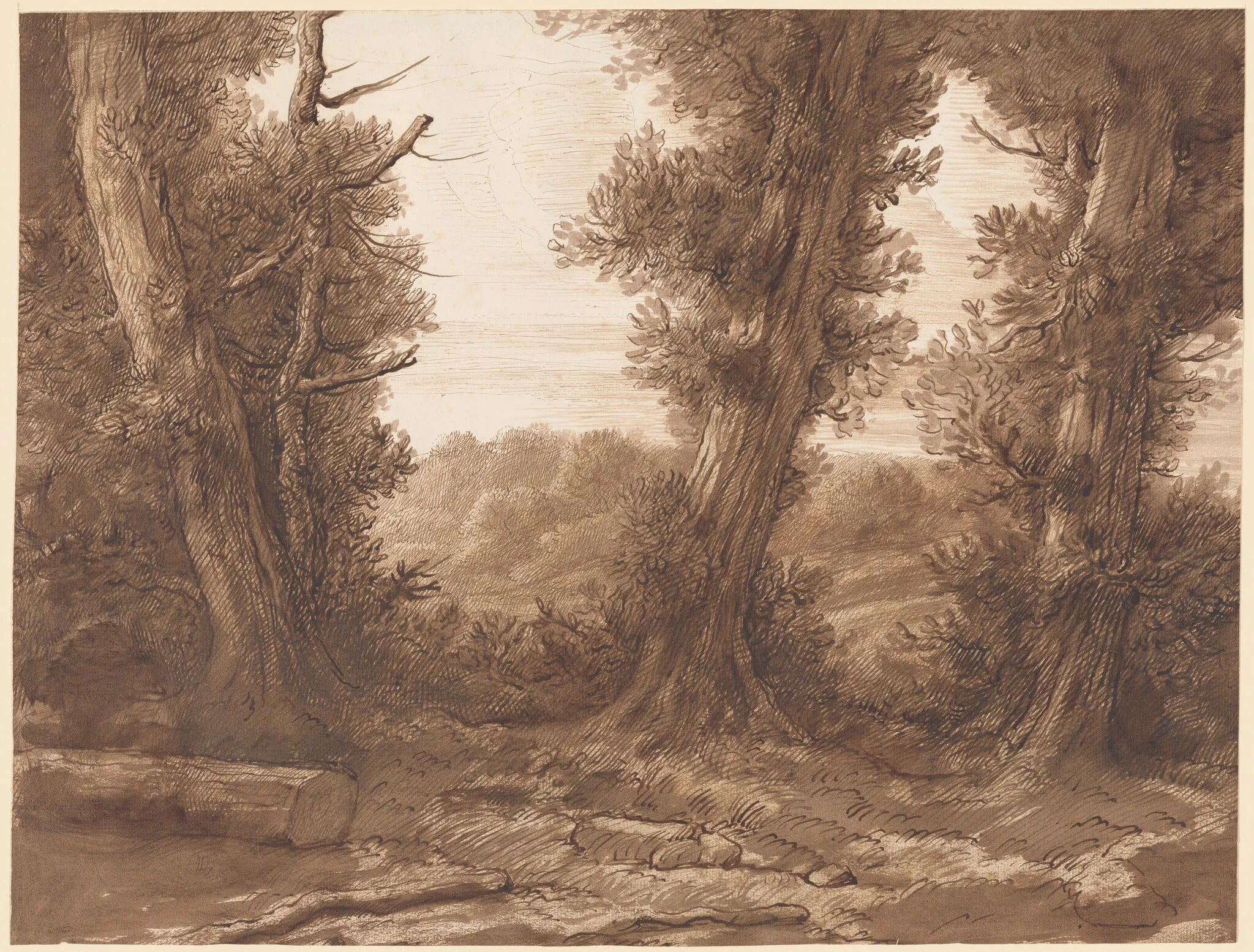 The Big Trees