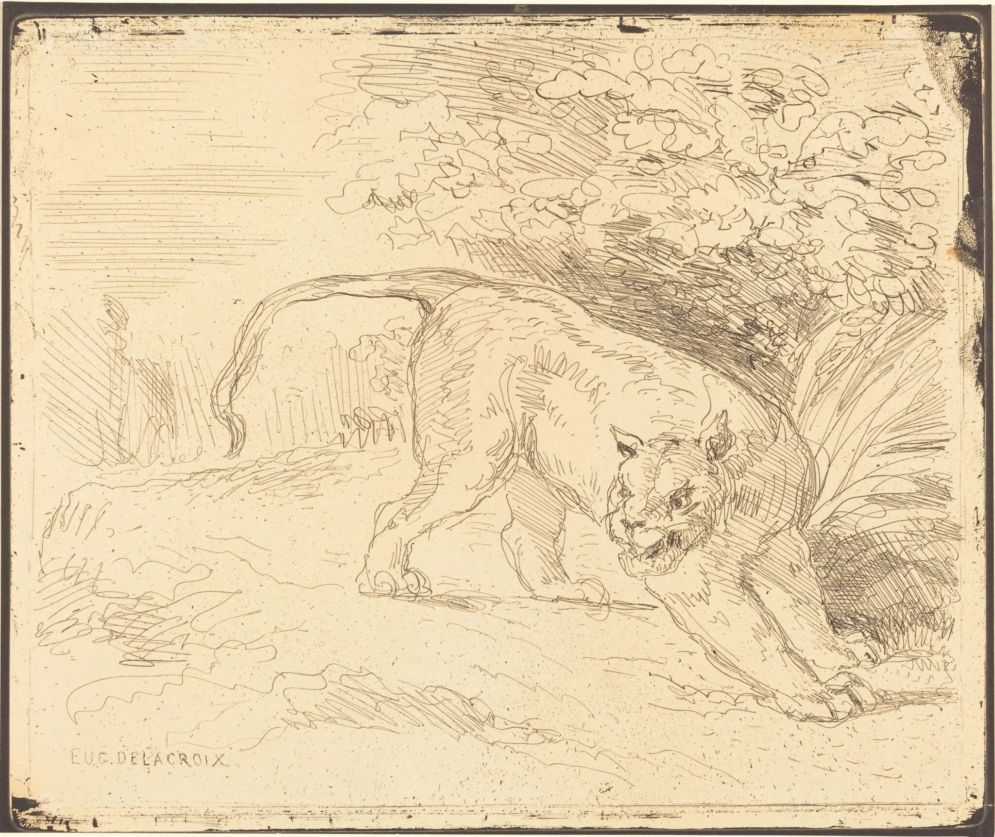 Tigre en arrêt, by Eugène Delacroix, 1854