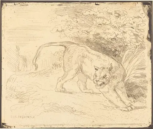 Tigre en arrêt
