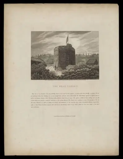 H Beard Print Collection