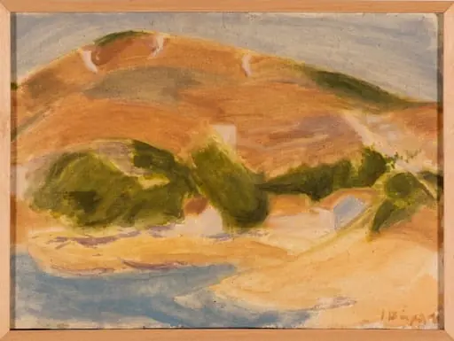 Outdoor study